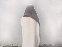 Load image into Gallery viewer, Desert Veil